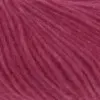 tulpe-887-0161